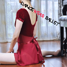 Dancewear Ballet Velvet Short Sleeve Leotard