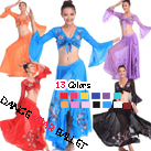 Twelve Colors Embroidery Beads Belly Dancewear Long Sleeve Crop And Skirts