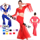 Nine Colors Semitransparent Belly Dancewear Long Sleeve Crop Top And Skirts