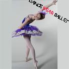 Professional Fairy Flowers Performance Dance Ballet Tutu Costume