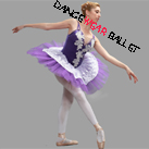 Professional Fairy Embroidery Performance Dance Ballet Tutu Costume