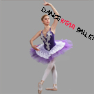 Professional Fairy Embroidery Performance Dance Ballet Tutu Costume