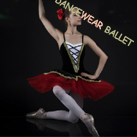 Don Quixote Performance Dance Ballet Tutu Costume