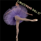 Classic Dance Ballet Tutu Ballet Costume Lavender