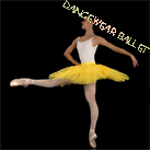 Classic Dance Ballet Tutu Ballet Costume Yellow