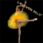 Classic Dance Ballet Tutu Ballet Costume Yellow