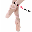 Basic Canvas Ballet Pointe Shoes